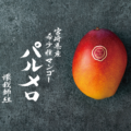 【二次販売終了及び三次販売について】