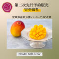 【三次販売終了及び四次販売について】