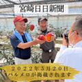 宮崎日日新聞にパルメロが掲載されました