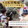 テレビ情報第4段解禁✨