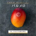 第二次先行予約販売を数量限定で開始