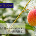 パルメロマンゴー販売終了のお知らせ