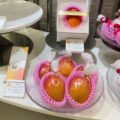 伊勢丹新宿店にて数量限定で販売