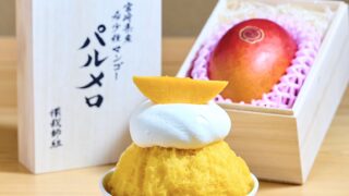 S__573497363-e1751435926261-