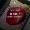 第三次予約販売終了のお知らせ
