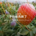 2026年度 販売終了のお知らせ