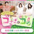テレビ放送記念特別販売のお知らせ